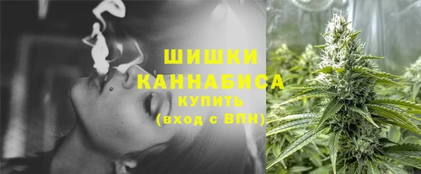 spice Бородино