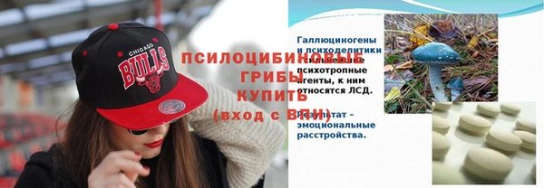 spice Бородино