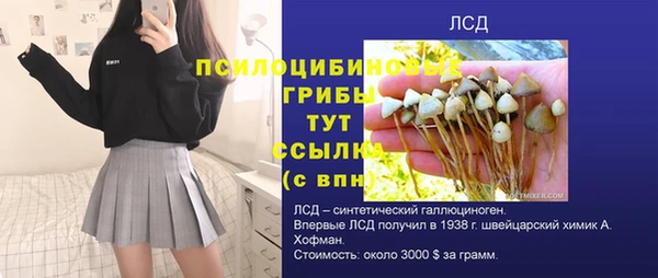 шишки Бронницы