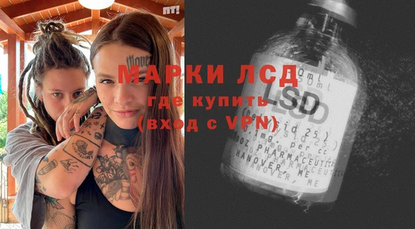 spice Бородино