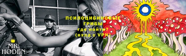 spice Бородино