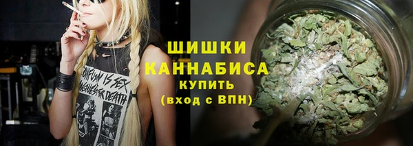 шишки Бронницы