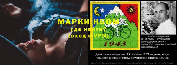 spice Бородино